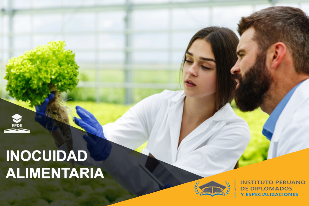 Gestión de inocuidad alimentaria