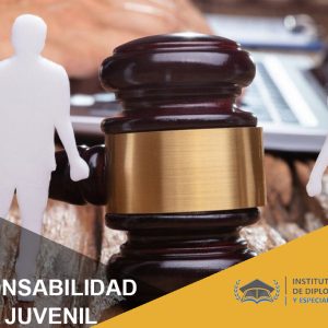 Responsabilidad Penal Juvenil